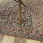 690 3645 ORIENTAL RUG